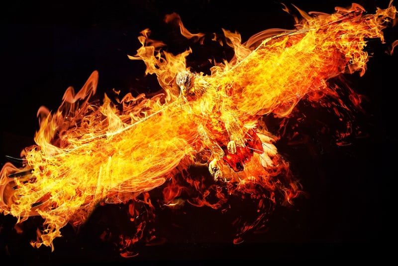 Phoenix Protector
